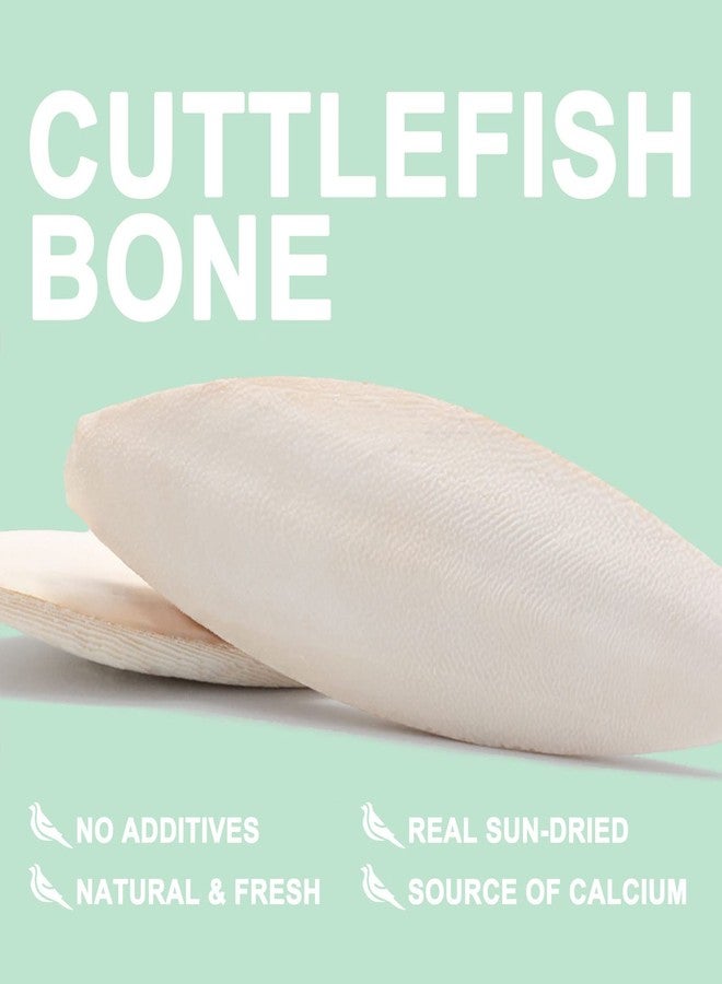 Mivofun Cuttlebone for Birds Parakeets Canaries Cockatiels Small Conures Mynahs Toucans African Greys All Parrots Snails Totoise,Natural Cuttlefish Bone for Bird Cage (7"-7.5"(Pack of 6)) - Image 4